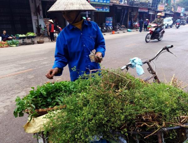 10.000 đồng/mớ mùi già đắt như tôm tươi tại chợ sáng 30 Tết - 8