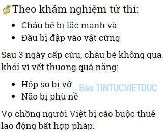 bao mau nguoi viet giet tre 15 thang o berlin song va lam viec bat hop phap tai duc 1