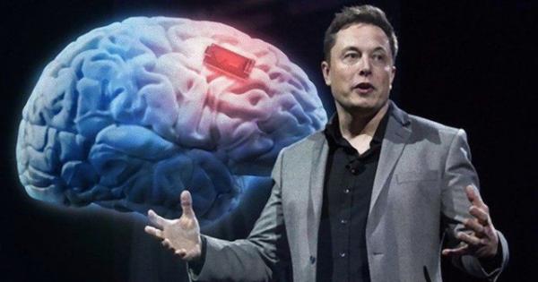 Tôi đã làm việc với Elon Musk và học được rằng thông minh không phải là chìa khóa thành công - 0