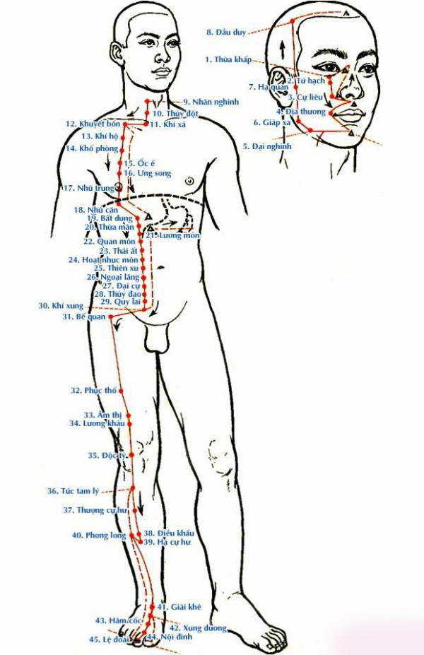 Tăng cường khí huyết kéo dài tuổi thọ nhờ biết cách ‘chăm sóc’ dạ dày - 3