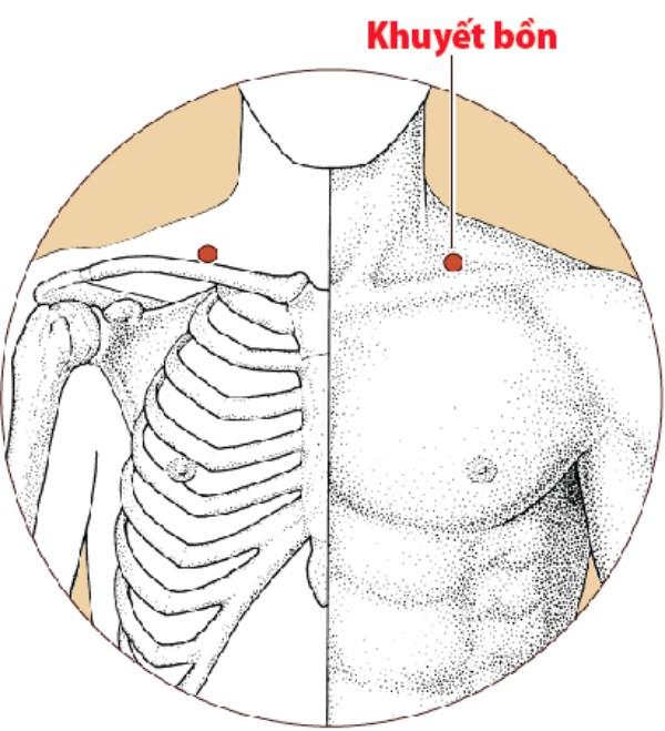 Tăng cường khí huyết kéo dài tuổi thọ nhờ biết cách ‘chăm sóc’ dạ dày - 7