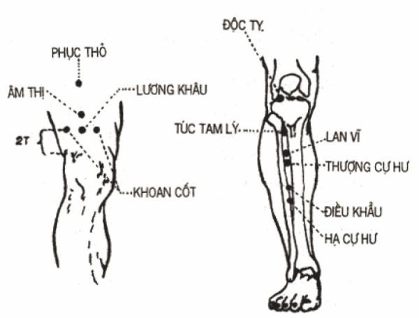 Tăng cường khí huyết kéo dài tuổi thọ nhờ biết cách ‘chăm sóc’ dạ dày - 12