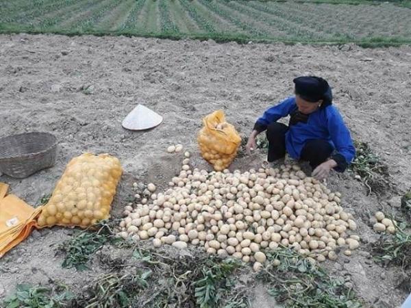 CHÀO BUỐI SÁNG: 3 lý do không nên hợp thức hóa mại dâm tại Việt Nam, Cộng đồng mạng góp tiền ủng hộ tài xế bẻ lái cứu hai cô gái ngã xe ở Hải Phòng - 3