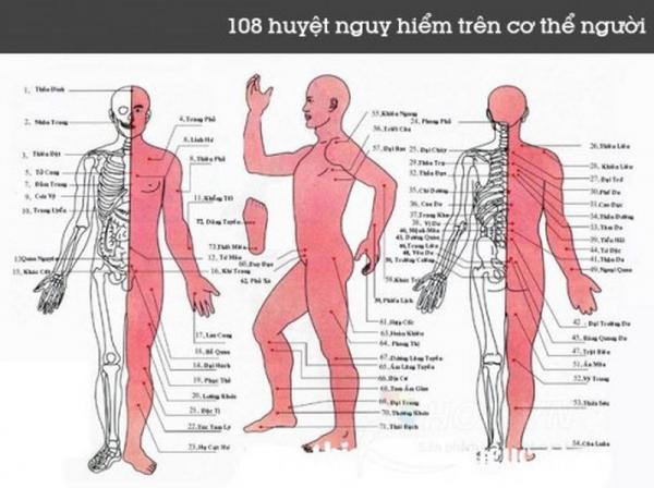 Nhớ chắc 8 huyệt vị sinh tử có thể cứu mạng trong lúc nguy nan - 1