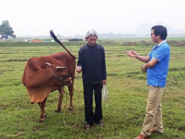 Chuyện động trời ở Thanh Hóa: Chăn thả trâu, bò phải nộp phí... cỏ - 0