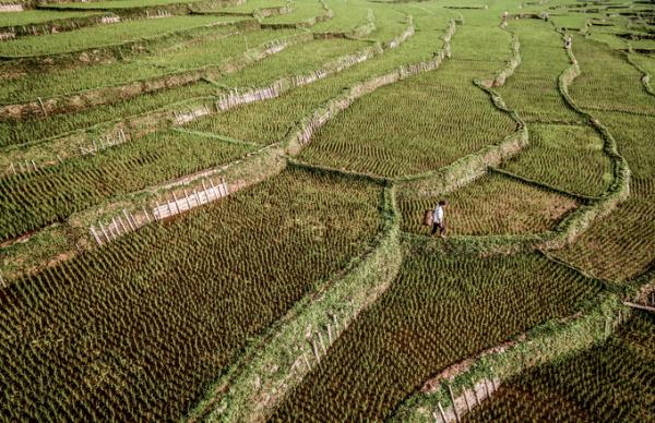 Nhiếp ảnh gia Mỹ: ‘Cuộc đời tôi sang trang sau chuyến đi Việt Nam’ - 5