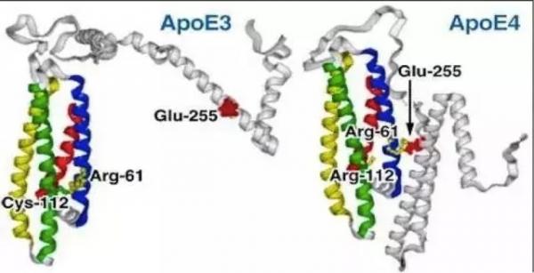 Nghiên cứu chấn động thế giới: Rối loạn giấc ngủ gây mất trí nhớ và Alzheimer - 5