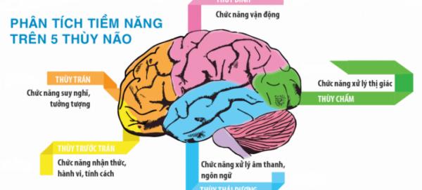 Biết thêm một ngôn ngữ, đẩy lùi nguy cơ mất trí nhớ tới 5 năm - 1