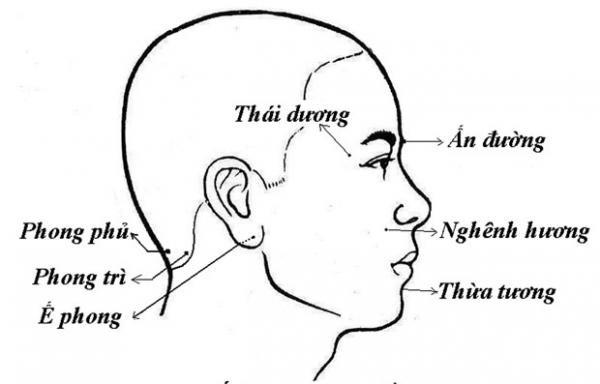 6 vị trí tử huyệt là nguồn gốc của sinh mệnh cần được chú ý bảo vệ - 1