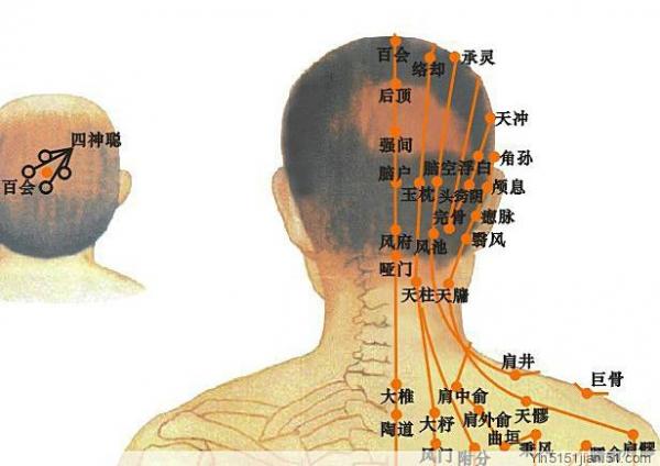 6 vị trí tử huyệt là nguồn gốc của sinh mệnh cần được chú ý bảo vệ - 2