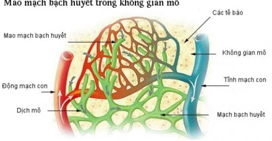 42 3 9 Tuyet Chieu Giai Doc Va Giam Can Hieu Qua Chi 5 Phut Chuan Bi Truoc Khi Di Ngu