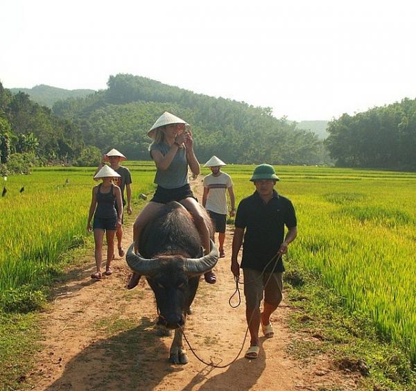 Khách quốc tế hào hứng với chuyến du lịch trồng rau, chăn trâu tại Việt Nam - 9