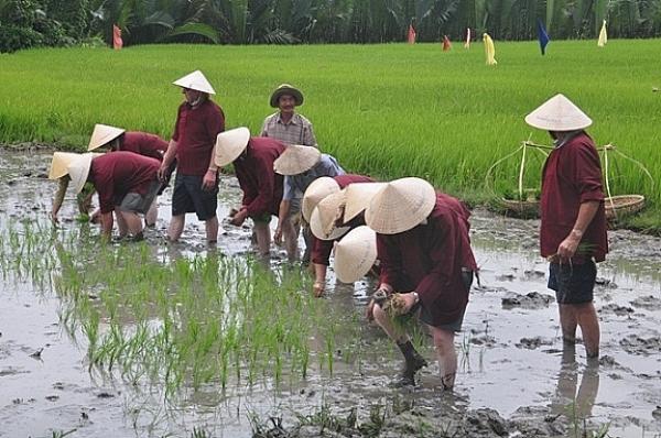 Khách quốc tế hào hứng với chuyến du lịch trồng rau, chăn trâu tại Việt Nam - 5