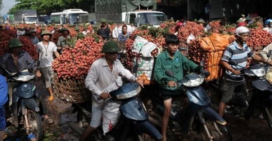 42 1 Bac Giang Chuyen La Nua The Ky Cho Hop Den 10h Dem Thu Hon 5500 Ty