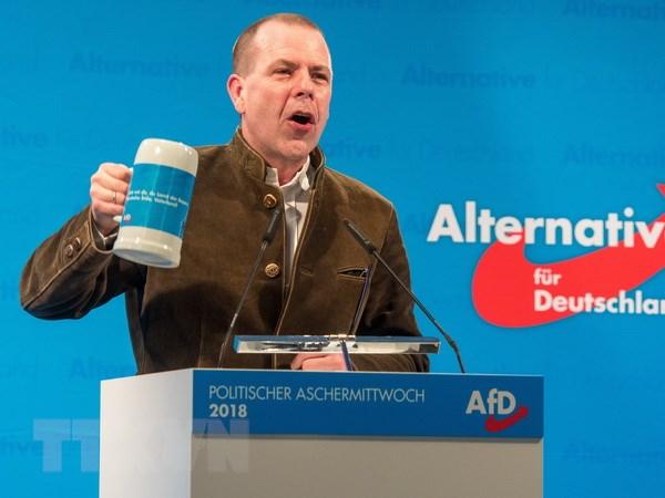 Đức: Tỷ lệ ủng hộ đảng cực hữu AfD tăng kỷ lục, vượt qua SPD - 0