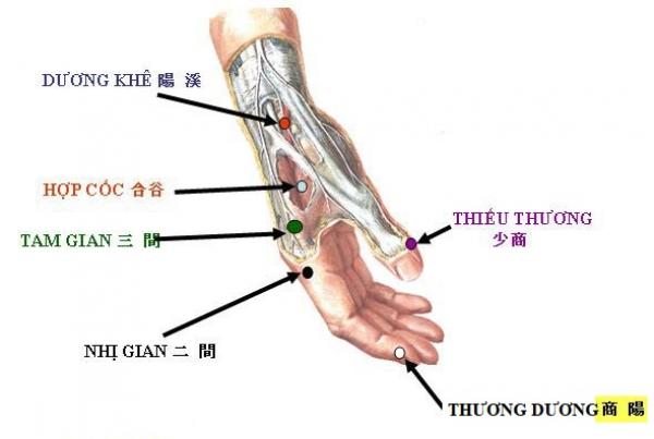 Bạn cần nhớ kỹ 9 huyệt vị sinh tử là chìa khóa có thể cứu mạng khi bạn gặp nguy nan - 9