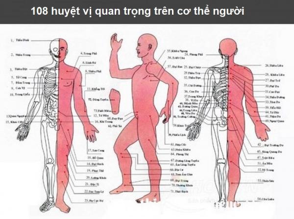 Bạn cần nhớ kỹ 9 huyệt vị sinh tử là chìa khóa có thể cứu mạng khi bạn gặp nguy nan - 1