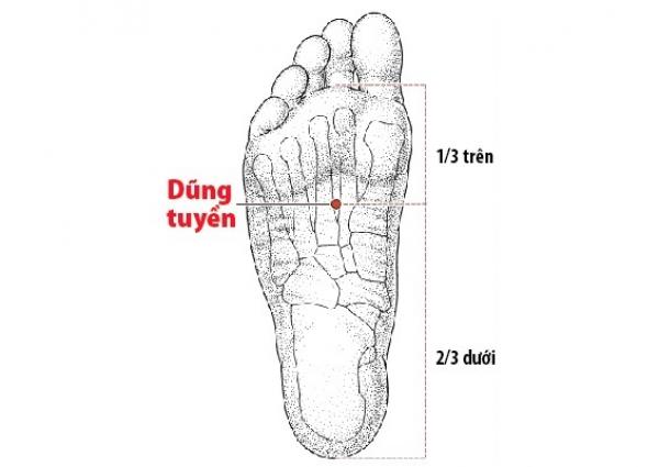 Bạn cần nhớ kỹ 9 huyệt vị sinh tử là chìa khóa có thể cứu mạng khi bạn gặp nguy nan - 11