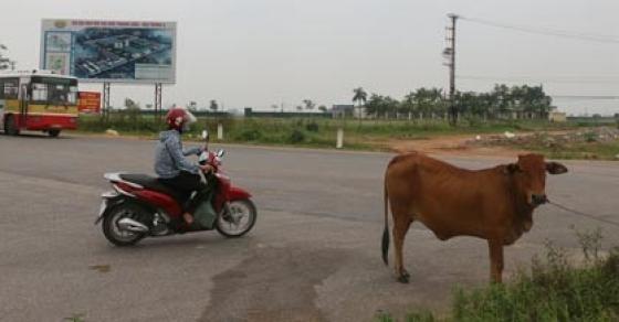 42 1 Ha Noi Sau 10 Nam Mo Rong Con Do Nhung Noi Lo