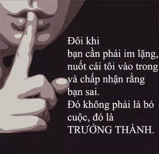 doi khi ban can phai im lang nuot cai toi vao trong va chap nhan rang ban sai do khong phai la bo cuoc do la truong thanh tintucvietduc