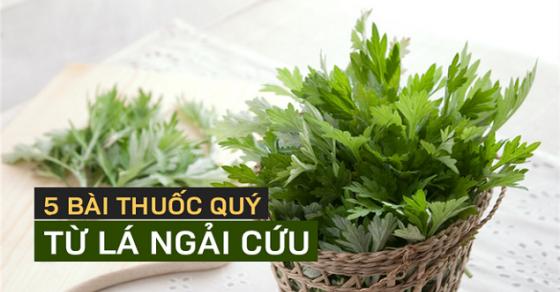 42 1 Cac Bai Thuoc Chua Dau Nhuc Xuong Khop Dau Dau Dau Bung Bang Cay Ngai Cuu