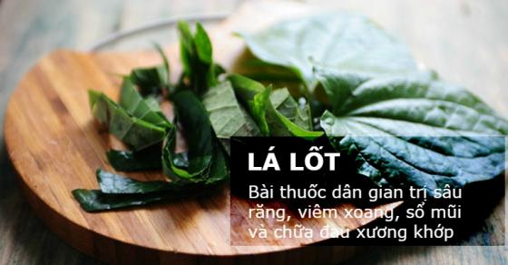 42 1 1 Nam La Lot 3 Cach Dac Tri Sau Rang Hoi Mieng Khoi Viem Xoang Cuc Tot