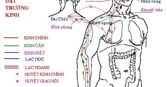 42 4 Thai Doc Va Duong Sinh Voi Huyet Van Nang Chi 3 Phut Moi Ngay