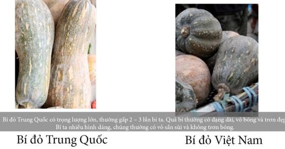 42 11 20 Cach Phan Biet Thuc Pham Trung Quoc Va Viet Nam Ai Di Cho Cung Can Biet De Bao Ve Tinh Mang Ca Gia Dinh Minh