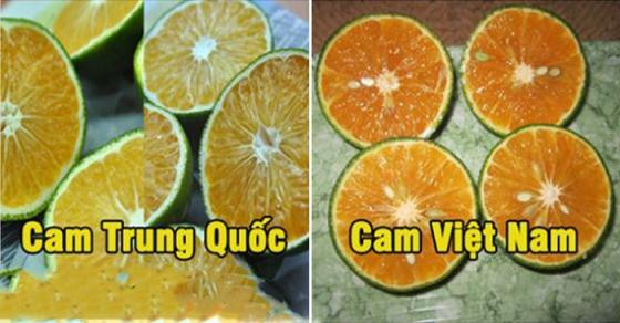 42 1 20 Cach Phan Biet Thuc Pham Trung Quoc Va Viet Nam Ai Di Cho Cung Can Biet De Bao Ve Tinh Mang Ca Gia Dinh Minh