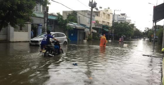 42 5 Nha Trang Chim Trong Bien Nuoc Quoc Lo 1 Tac Nghen