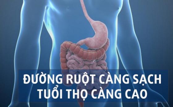 42 1 5 Thuc Pham Tay Sach Ruot Loai Bo Dau Mo Giai Doc Ai An Deu Ruot Se Duoc Ve Sinh