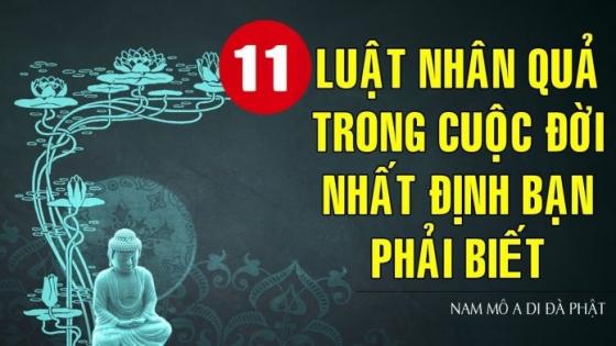 42 1 11 Quy Tac Nhan Qua Chi Phoi Van Menh Con Nguoi Hieu Thau At Se Duoc Binh An