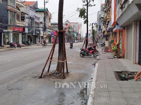 42 1 Trong Cay Duoi Long Duong O Quang Ninh Hoc O Dau Ma Hay Vay