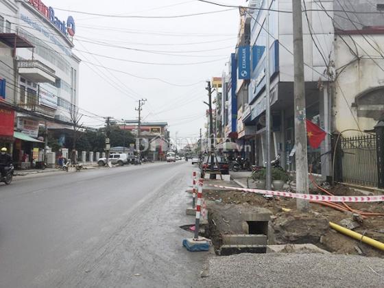 42 2 Quang Ninh La Doi Voi Du An Tram Ty Trong Cay Duoi Long Duong