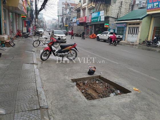 42 4 Quang Ninh La Doi Voi Du An Tram Ty Trong Cay Duoi Long Duong