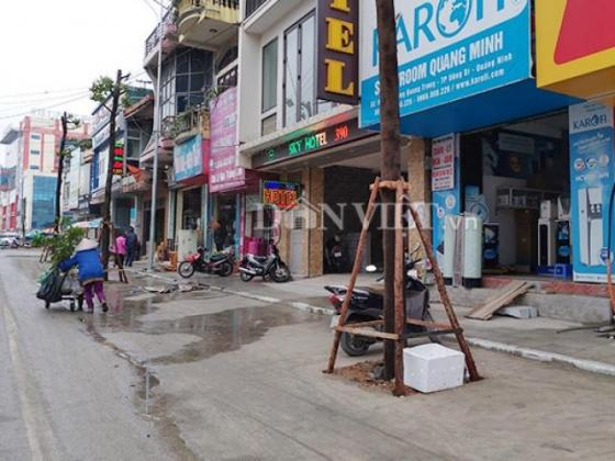 42 5 Quang Ninh La Doi Voi Du An Tram Ty Trong Cay Duoi Long Duong