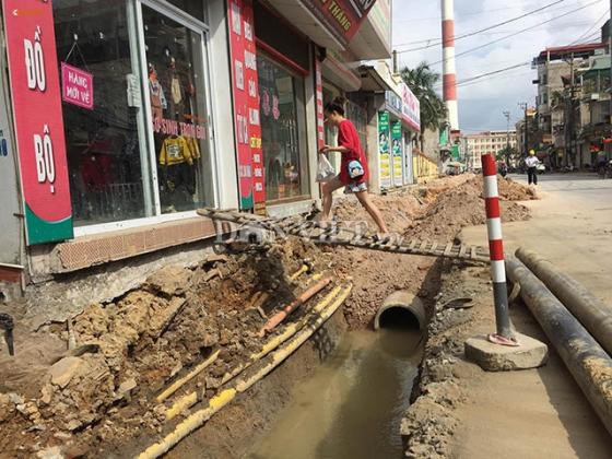 42 6 Quang Ninh La Doi Voi Du An Tram Ty Trong Cay Duoi Long Duong