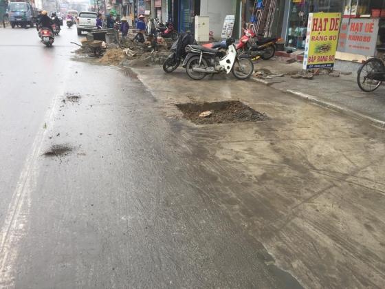 42 2 Bi Che Toi Boi Hang Cay Vua Trong O Long Duong Da Phai Nho Bo O Uong Bi