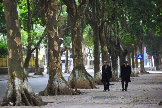 42 3 Ha Noi Sai Gon Khac La Mung Mot Tet