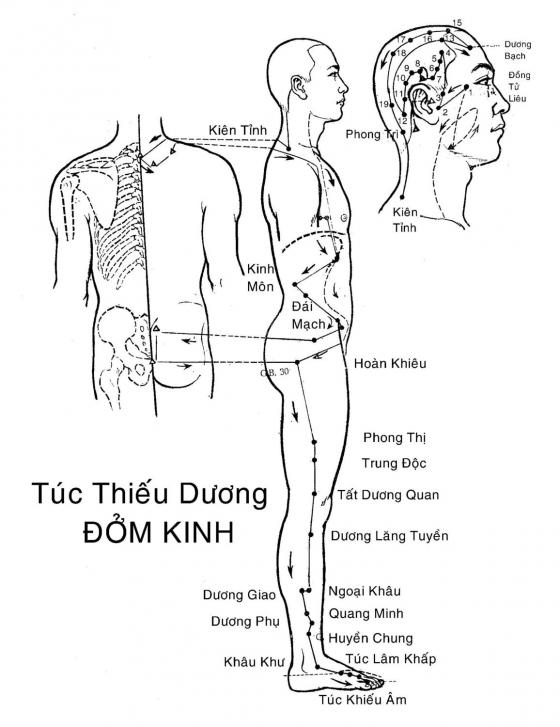 42 3 6 Dong Tac Don Gian Giup Thai Doc Ca Ngay Truoc Khi Di Ngu