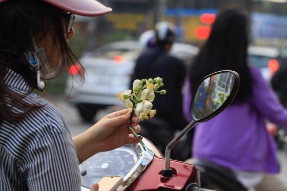 42 10 Ha Noi Thom Ngat Huong Hoa Buoi Ganh Hang Rong Kiem Tien Trieu Moi Ngay