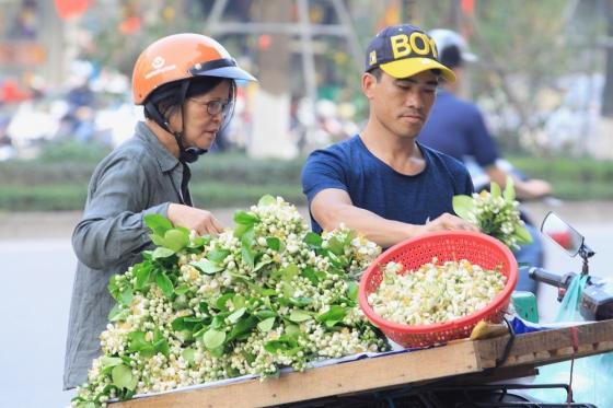 42 8 Ha Noi Thom Ngat Huong Hoa Buoi Ganh Hang Rong Kiem Tien Trieu Moi Ngay