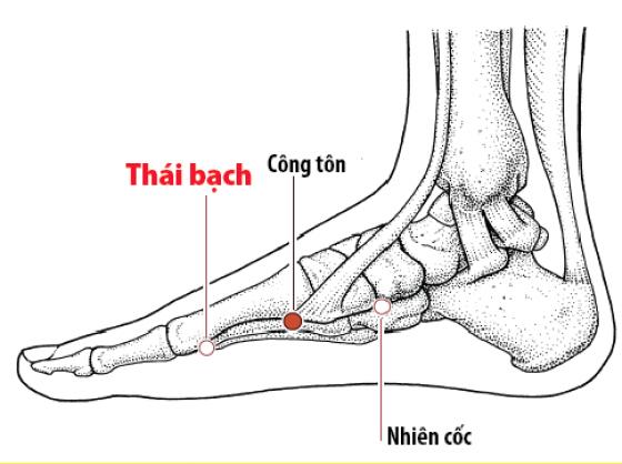 42 7 Chua Dau Dau Chi Voi Mot Chiec Kep Thuc Pham