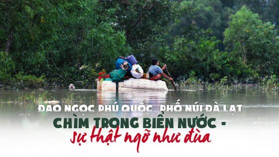 42 1 Dao Ngoc Phu Quoc Pho Nui Da Lat Chim Trong Bien Nuoc   That Nhu Dua