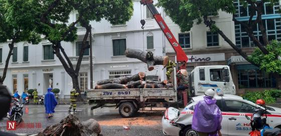 42 6 Ha Noi Cay Lon Lai Do De Bep Taxi Sau Mua To