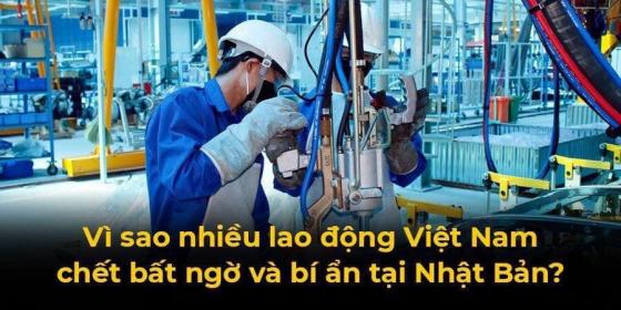 42 1 Thuc Tap Sinh Viet Nam Den Nhat Hoc Tap Va Lam Viec Ngay Cang Dong The Nhung Ngay Cang Co Nhieu Vu Thiet Mang Hoac Tu Sat Khong Ro Nguyen Nhan