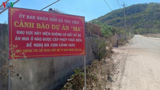 42 10 Canh Hoang Vang Tai Nhung Du An Ma Cua Alibaba