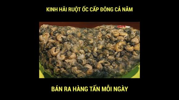 42 2 Rung Minh Hang Tan Ruot Oc Cap Dong Ca Nam Duoc Ban Ra Moi Ngay Dan Nghien Bun Oc Via He Coi Chung Ruoc Benh