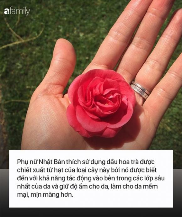 42 7 Hoc Phu Nu Nhat Ban 10 Thoi Quen Hang Ngay De Khong Nhung Khoe Manh Ma Con Luon Tre Hon Nhieu So Voi Tuoi Thuc