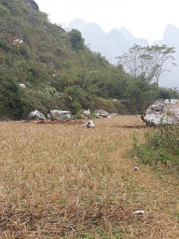 42 3 Dong Dat Lien Tiep O Cao Bang Ha Noi Va Nhieu Tinh Rung Chan